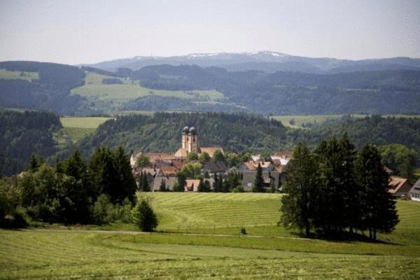 Gaestehaus Wald Und See Титизее-Нойщат Екстериор снимка