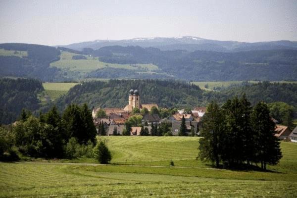 Gastehaus Wald Und See Титизее-Нойщат Екстериор снимка